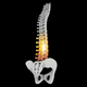 Illustration for article titled To Make Sure You Acquire Help After A Car Wreck, Talk With A Chiropractic Specialist